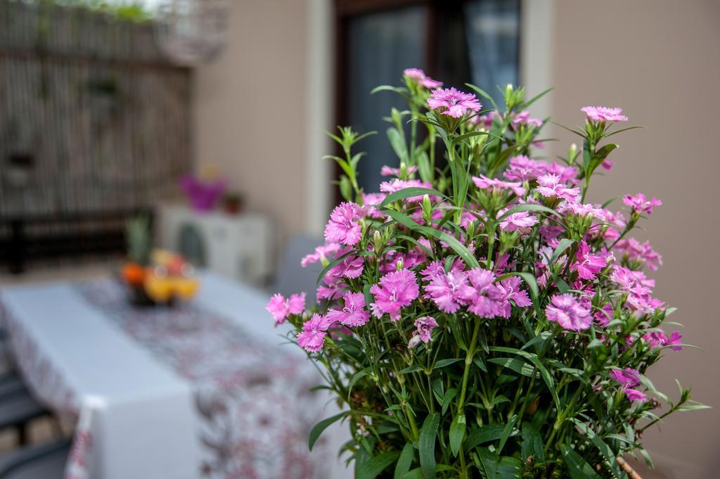 Kyriaki'S Cozy Apartments Agia Marina  Luaran gambar